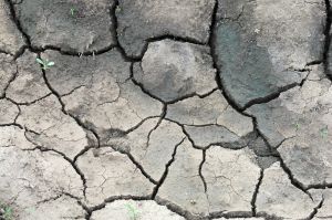 Dry Soil